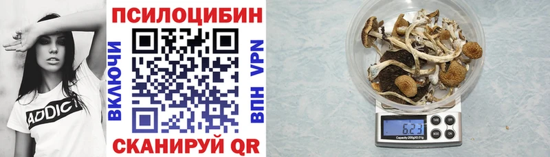 гидра как войти Киров Псилоцибиновые грибы мицелий
